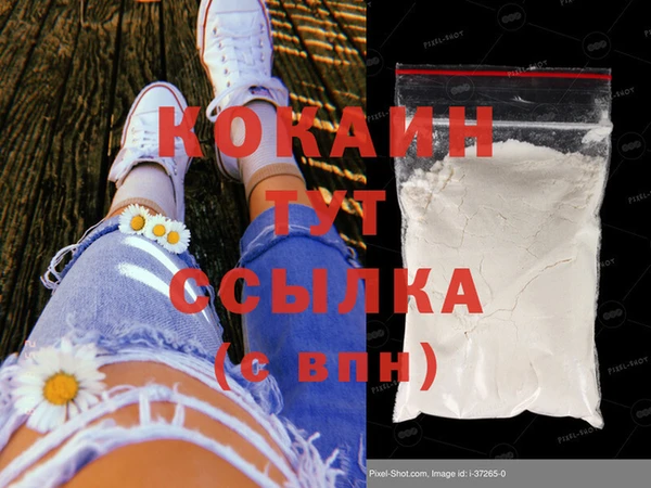 стаф Магадан