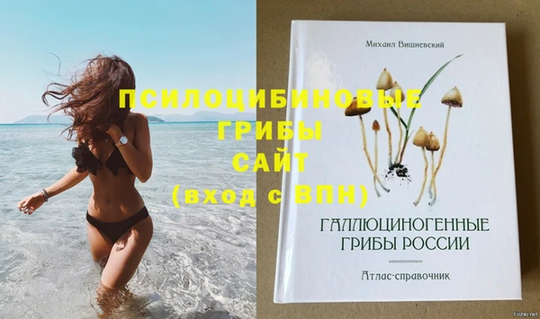 стаф Магадан