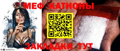 стаф Бийск