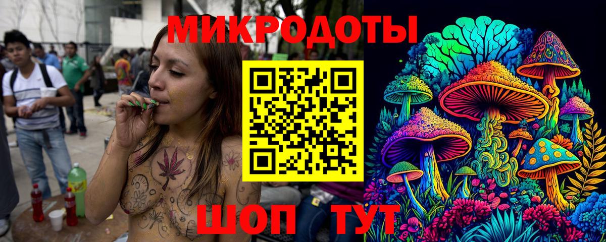 Галлюциногенные грибы Psilocybe  купить наркотик  Всеволожск 