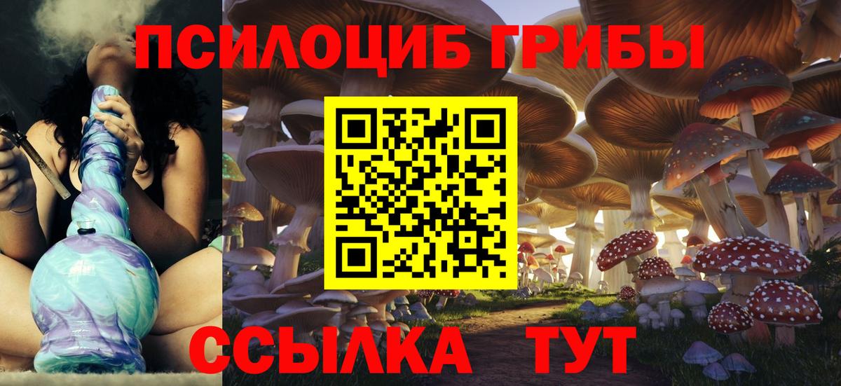 Псилоцибиновые грибы ЛСД  Галлюциногенные грибы Psilocybine cubensis  Всеволожск  наркота  Вход с VPN 