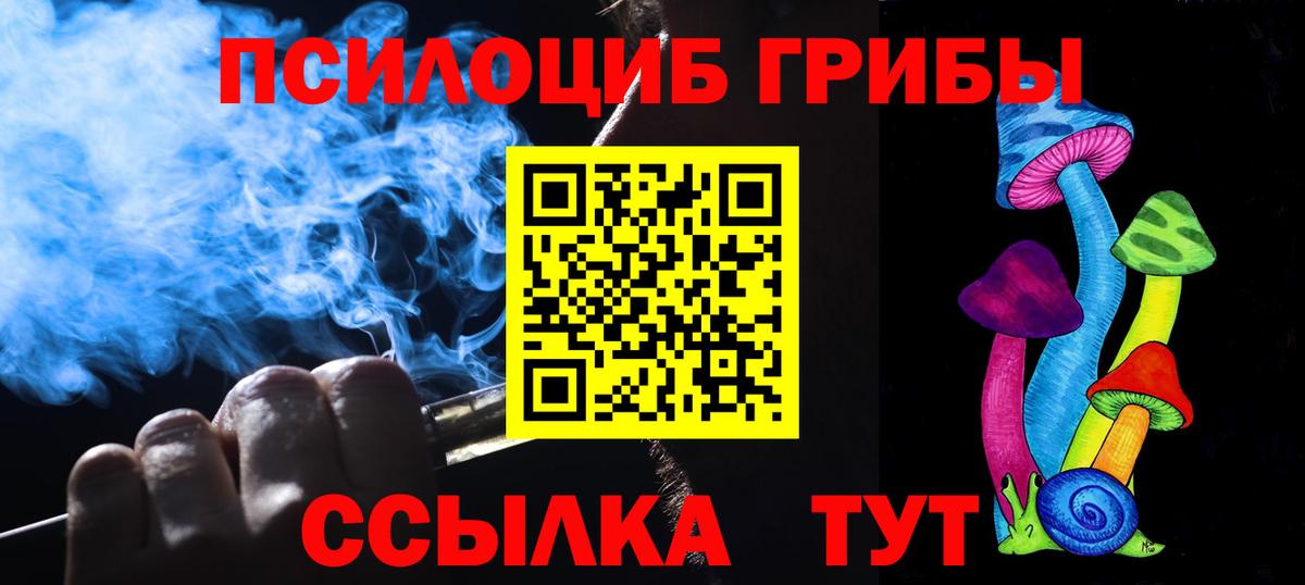 Псилоцибиновые грибы GOLDEN TEACHER Всеволожск