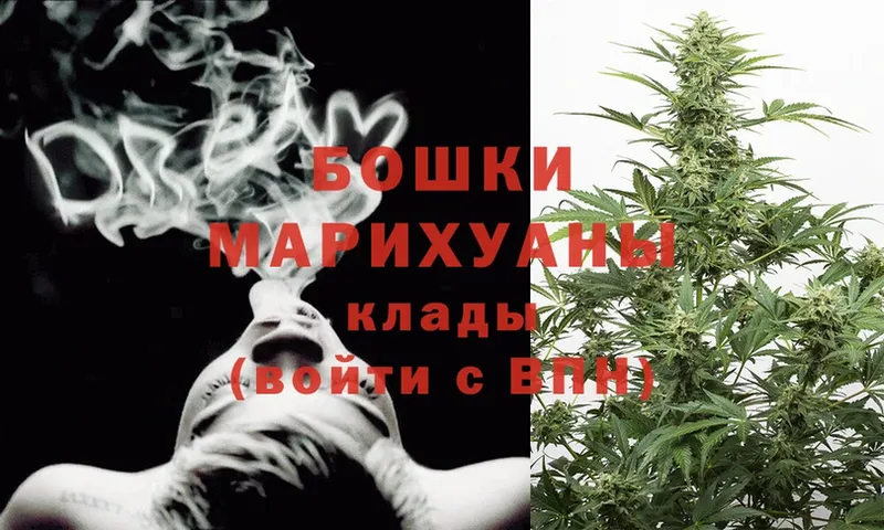 Каннабис OG Kush  Всеволожск 